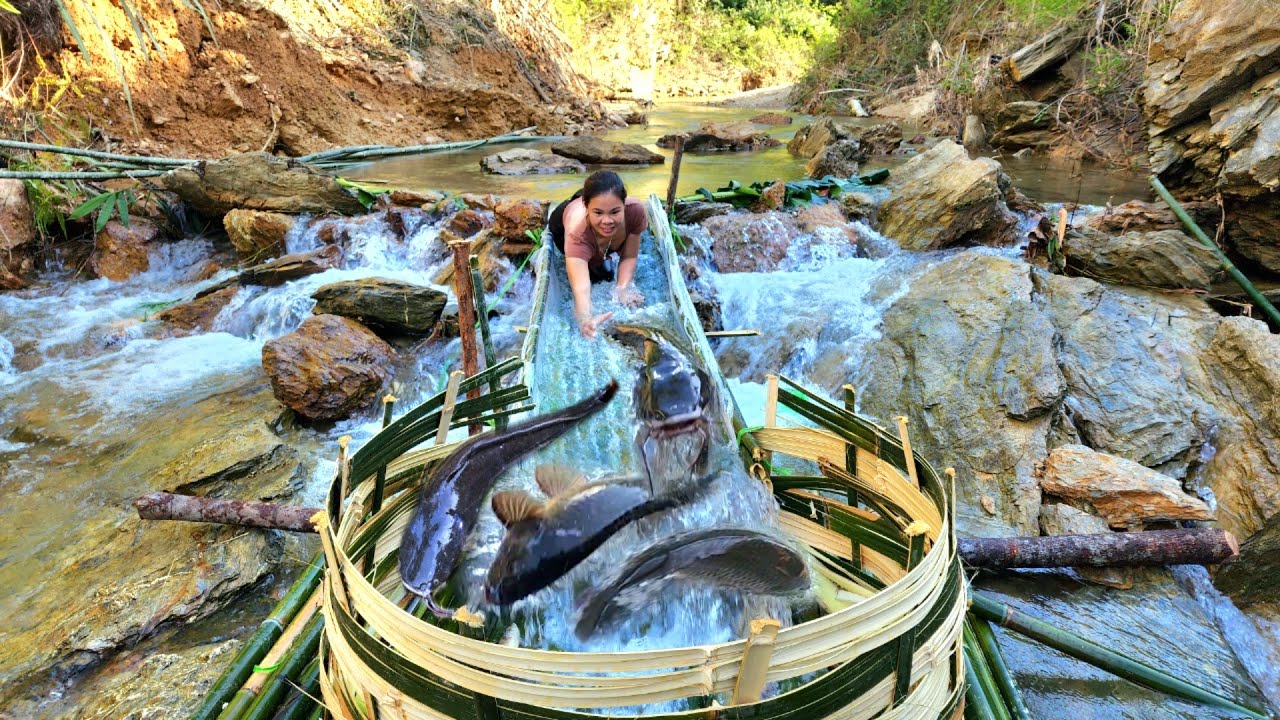 The girl made an ancient fish trap and suddenly caught many big fish.