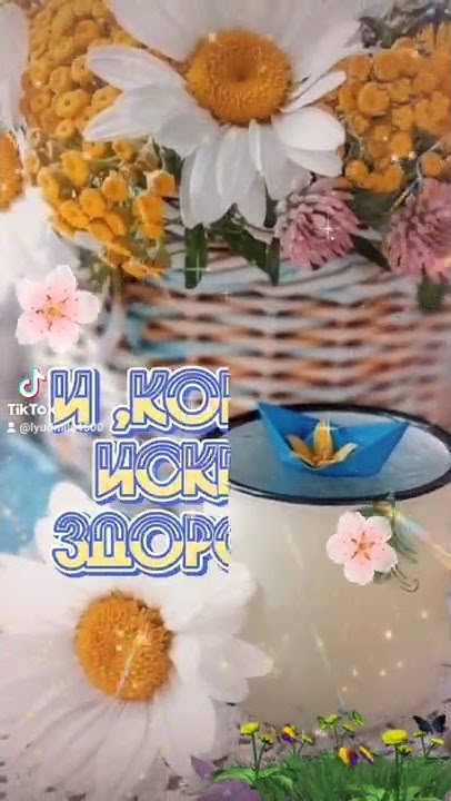 Доброе майское утро ! 🍃🌸🍃🌸🍃🌸🍃☀️💖 - YouTube
