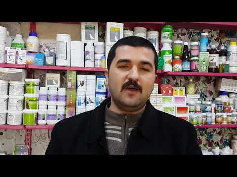 أسباب عدم الخصوبة بالنسبة للطيور و طرق علاجها شرح الدكتور كمال الناصر