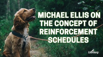 Michael Ellis on The Concept of Reinforcement Schedules