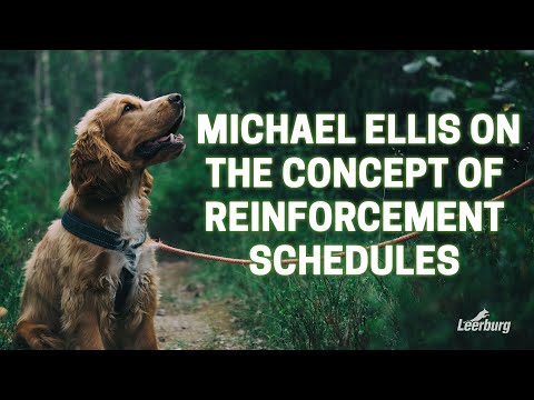Video: Jadwal Penguatan Diferensial dalam Pelatihan Anjing