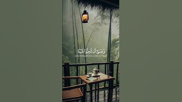 وعسى أن تكرهوا شيئا وهو خير لكم تلاوه مريحه جدآ بصوت القارئ مشاري العفاسي . 😌😌🌿