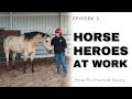 Horse Shelter Heroes | S2E3 | Full Episode
