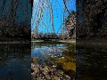TIMELAPSE Ogród Botaniczny Powsin