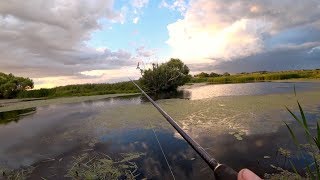 Рыбалка на Красивой Заросшей Речке. Ловля на спиннинг летом.