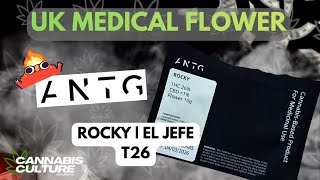 UK MEDICAL | ANTG | ROCKY | EL JEFE | T26
