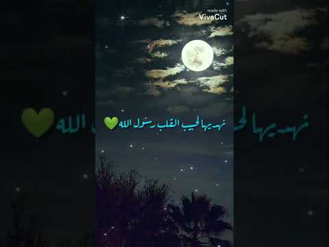 ايدى يإيدك نجمع ١٠٠ مليون صلاة