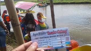 Agrowisata Sumber Celeng di Bulurejo, Diwek, Jombang