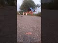Running vlog #physical #army #rpf #sscgd #running #sprint #vlog #workout #medical