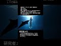 実験体04 追加資料 #aigenerated #水族館