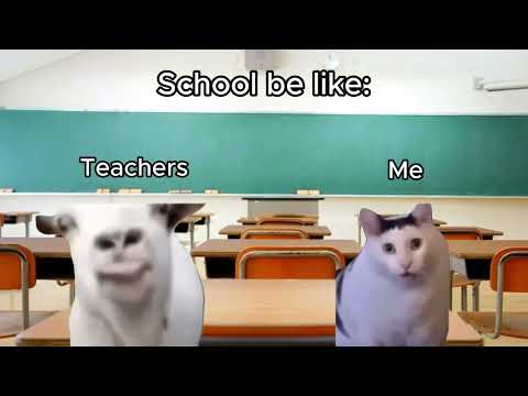 School Be Like