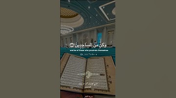 الشيخ القارئ محمد صديق المنشاوي رحمه الله - سورة الحجر 😍❤️