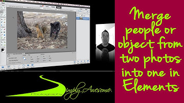 Learn Photoshop Elements - Merge people from two photos into one