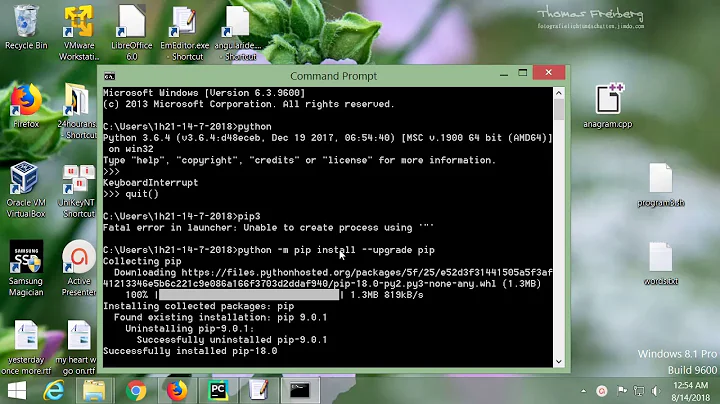 Python Solution to: Fatal error in launcher: Unable to create process using '"'