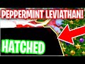 🎄PEPPERMINT LEVIATHAN  HATCHED ON CAMERA!!🎄 *ALL CHRISTMAS SECRETS HATCHED!!!* - BUBBLE GUM SIM