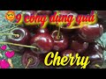 9 công dụng quả cherry