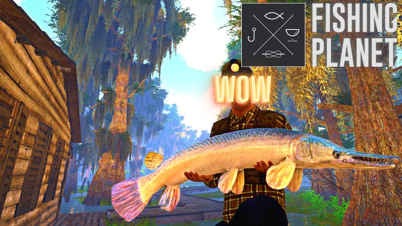 Big Alligator Gar and Catfish + Bowfin & Bass Exploring Quanchkin