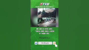 BÀ CON ƠI CẢNH GIÁC: THANH NIÊN SANG CHẢNH ĐI TRỘM CÂY