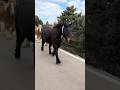 🐎🐎🐎🐎🐎💝💝💝