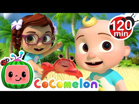 Dancing with Sea Animals! | CoComelon | Animals for Kids | Sing Along | Learn about Animals