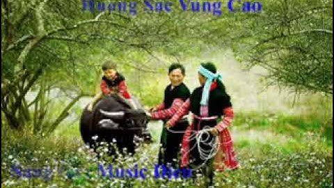 hương sắc vùng cao - sáo mèo - SAO MAI