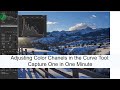 Adjusting Color Chanels in the Curve Tool: Capture One in One Minute