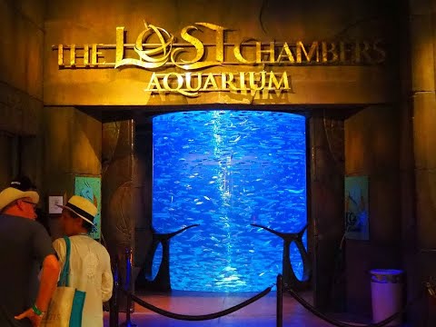 The Lost Chambers Aquarium Dubai