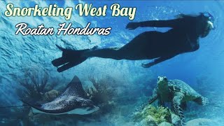 Roatan Honduras:  Snorkeling at West Bay, September 2022