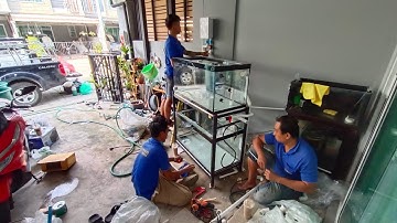 Earth พระราม 2 - งาน Overflow All Services ตู้ปลาทองชุดเล็ก 3 ใบ กรองล่าง 1 กรองบน 2 Set 2