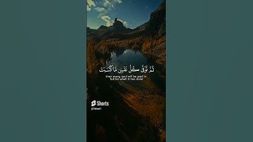 تلاوة خاشعة مبكية للقارئ ياسر الدوسري 💙|| #قران_كريم #ياسر_الدوسري
