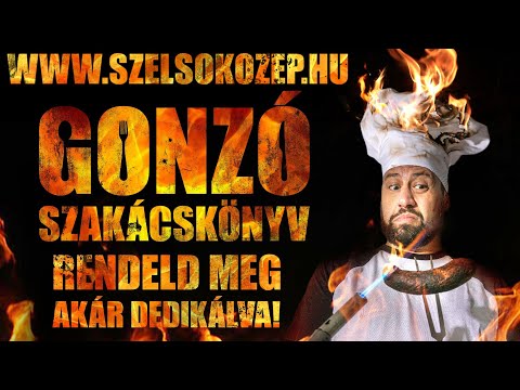 Puzsér Róbert végleg eladta magát: az ATV-ben Németh Szilárd rezsibiztos főztje előtt tiszteleg