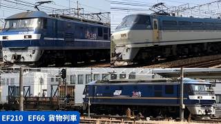 【DD200トップナンバー登場】EF210・EF66貨物列車 土日の無動力回送（8865レ、5085レ）あり 桜を見届けたサメと桃太郎の春 20250419～20250420