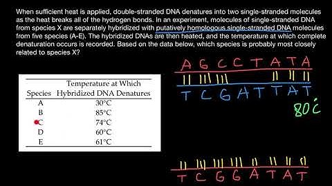 How DNA sequences used to generate Phylogenic trees