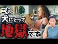 【要注意】9割の飼い主が知らずにやっている⁉犬猫にとっての地獄３選を獣医師が解説！