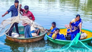 CATCHING FISH WITH CAST NET | Net Fishing With Ungal SamayalKaaran | Net Fishing in the Lake