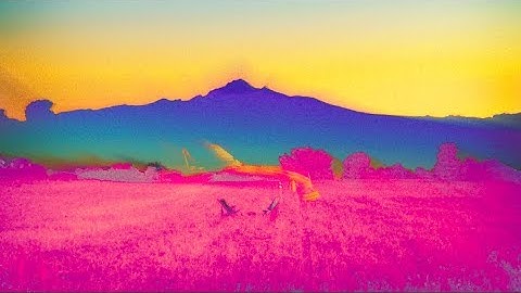 DBFC - In the car (official video)