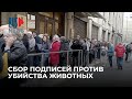 ⭕️ Россияне подают в Администрацию президента обращения против убийства бездомных животных | Москва