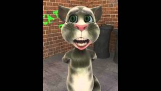 Thrift shop talking Tom cat