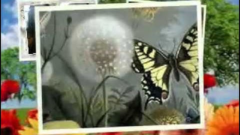 MEMBEKAS DIHATI  by  LALUNA my video