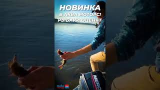 Volzhanka 42 Новинка В Аква-Моторс #Shorts