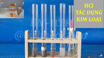 HCl TÁC DỤNG VỚI KIM LOẠI Fe, Al, Cu, Zn, Mg #thinghiemhoahoc  #HCl #kimloai #hoacobichngoc #hoa10