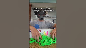 Worm on a string!~#wormonastring #therian #alterhuman #theriangear #therianthropy #antizoo