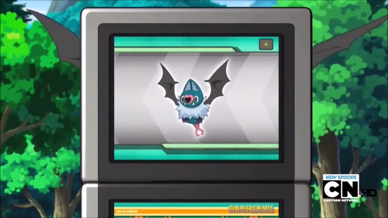 Swoobat Pokédex Entry The Four Seasons Of Sawsbuck YouTube