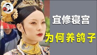 Why did Zhen Huan order people to raise pigeons in Jingren Palace? When she became a queen mother