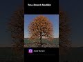 Tree Branch Geometry Nodes Modifier