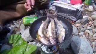 源流渓流釣り 秋田県 岩魚釣り 岩魚焼き 岩魚料理 源流渓流釣り 秋田県 岩魚釣り 岩魚焼き 岩魚料理