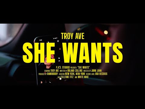 Смотреть клип Troy Ave - She Wants
