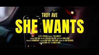 Смотреть клип Troy Ave - She Wants