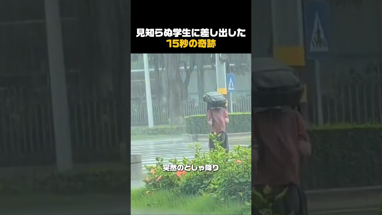 傘のない学生に見る、本当の大人の品格 #感動ショート #心温まる #優しい世界 #日常の奇跡 #大人の品格
