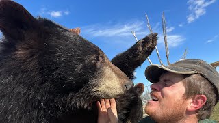 The bears woke up with the zoomies #animals #learnaboutanimals #coolanimals